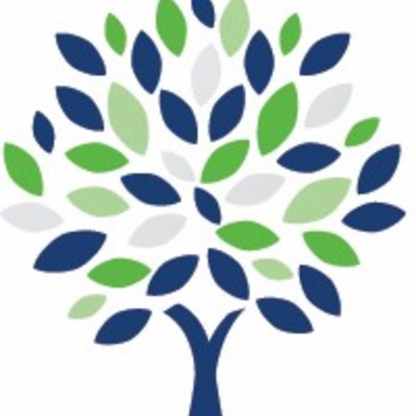 Assure Advice Group logo
