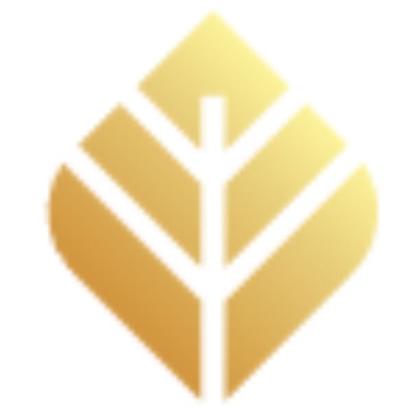 Simplify Financial Planning logo